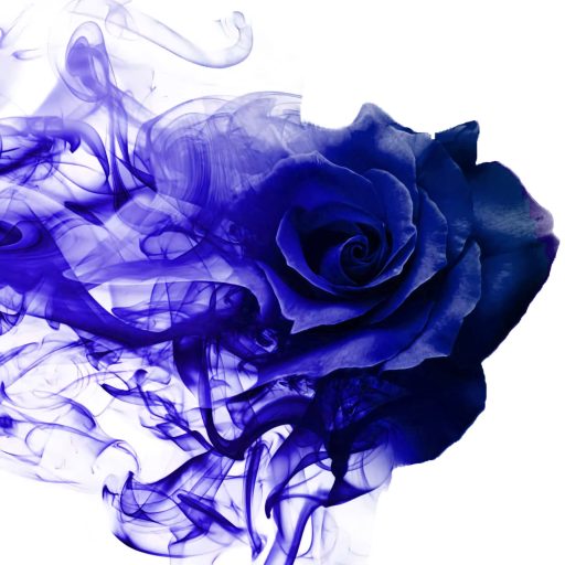 Blue Rose Strategies